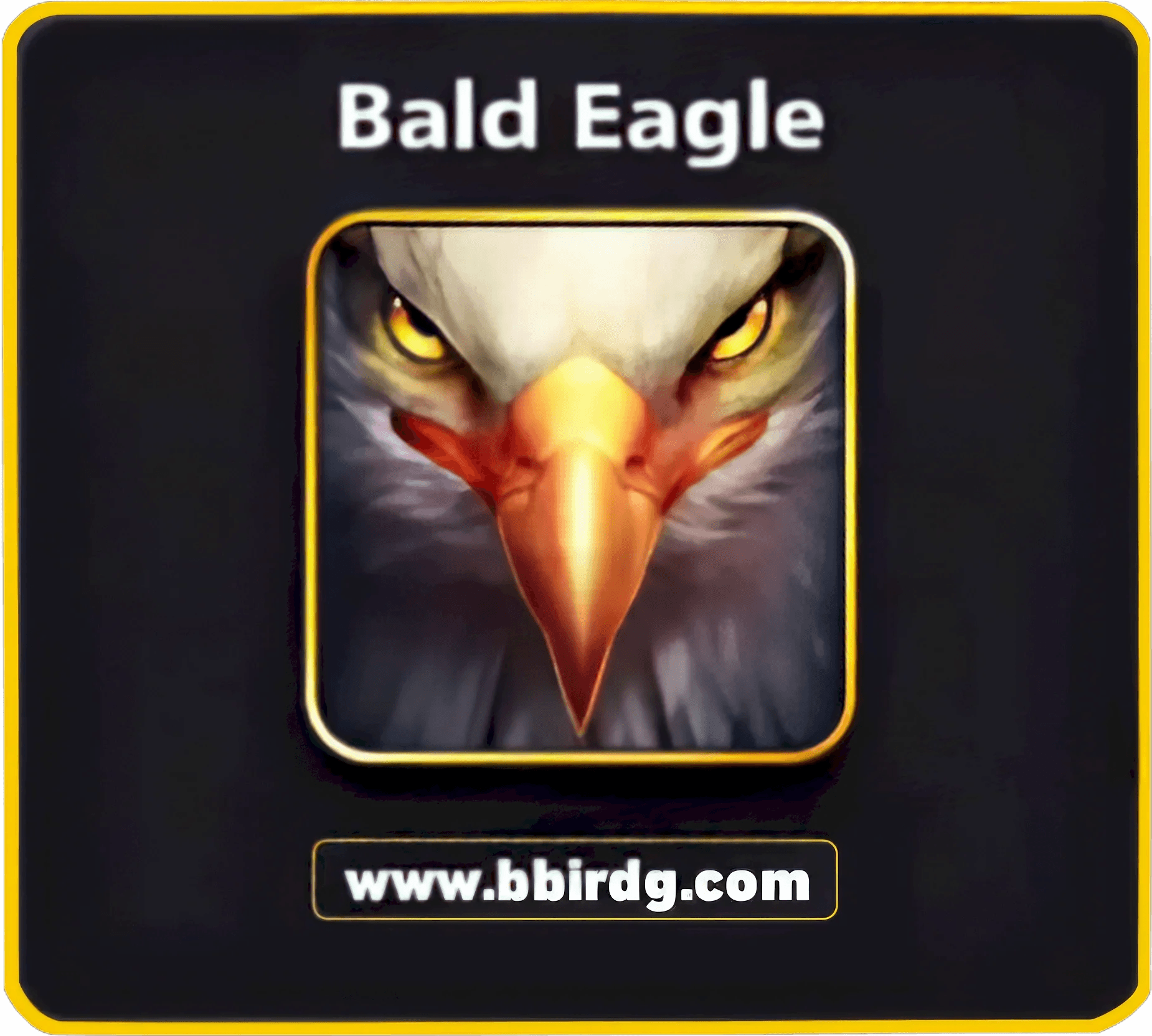 5 Avatars Bundle: Assassin Bald Eagle Beaming Yellow Beast Black Viper | 8 Ball Pool