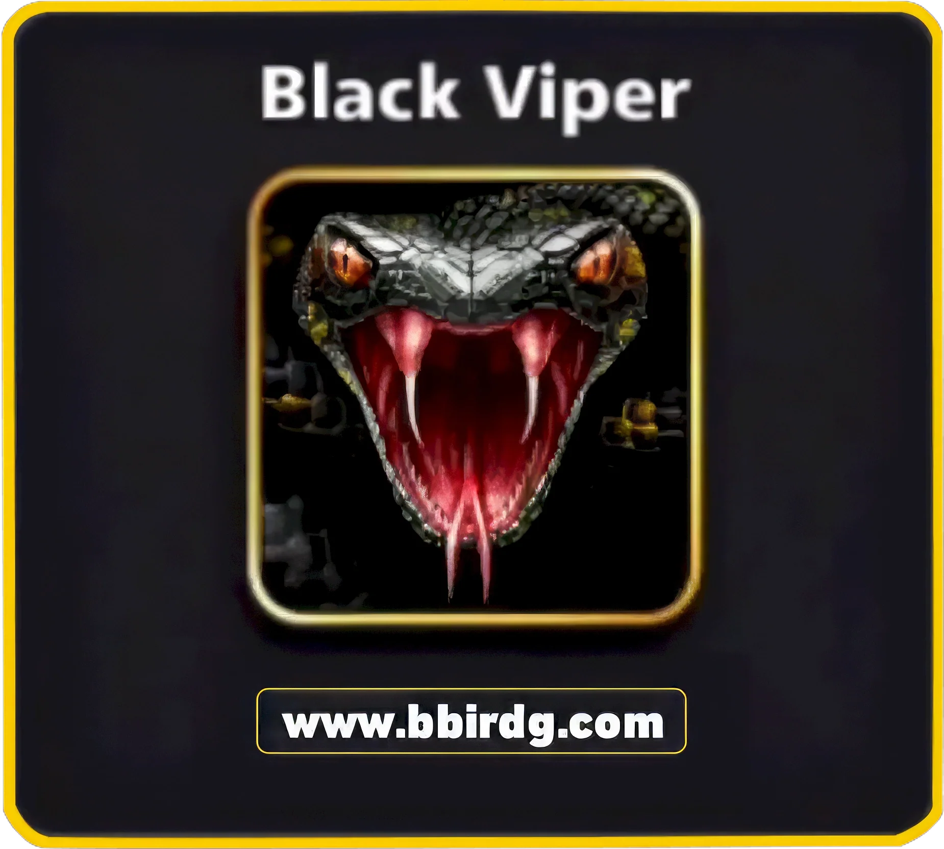 5 Avatars Bundle: Assassin Bald Eagle Beaming Yellow Beast Black Viper | 8 Ball Pool